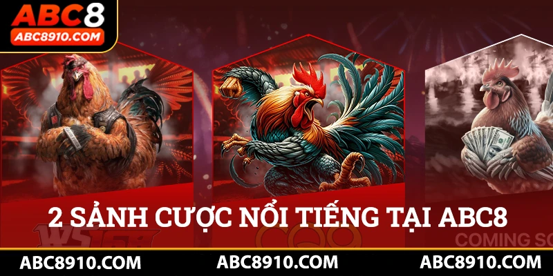 Điểm qua 2 sảnh cược nổi tiếng tại nhà cái ABC8